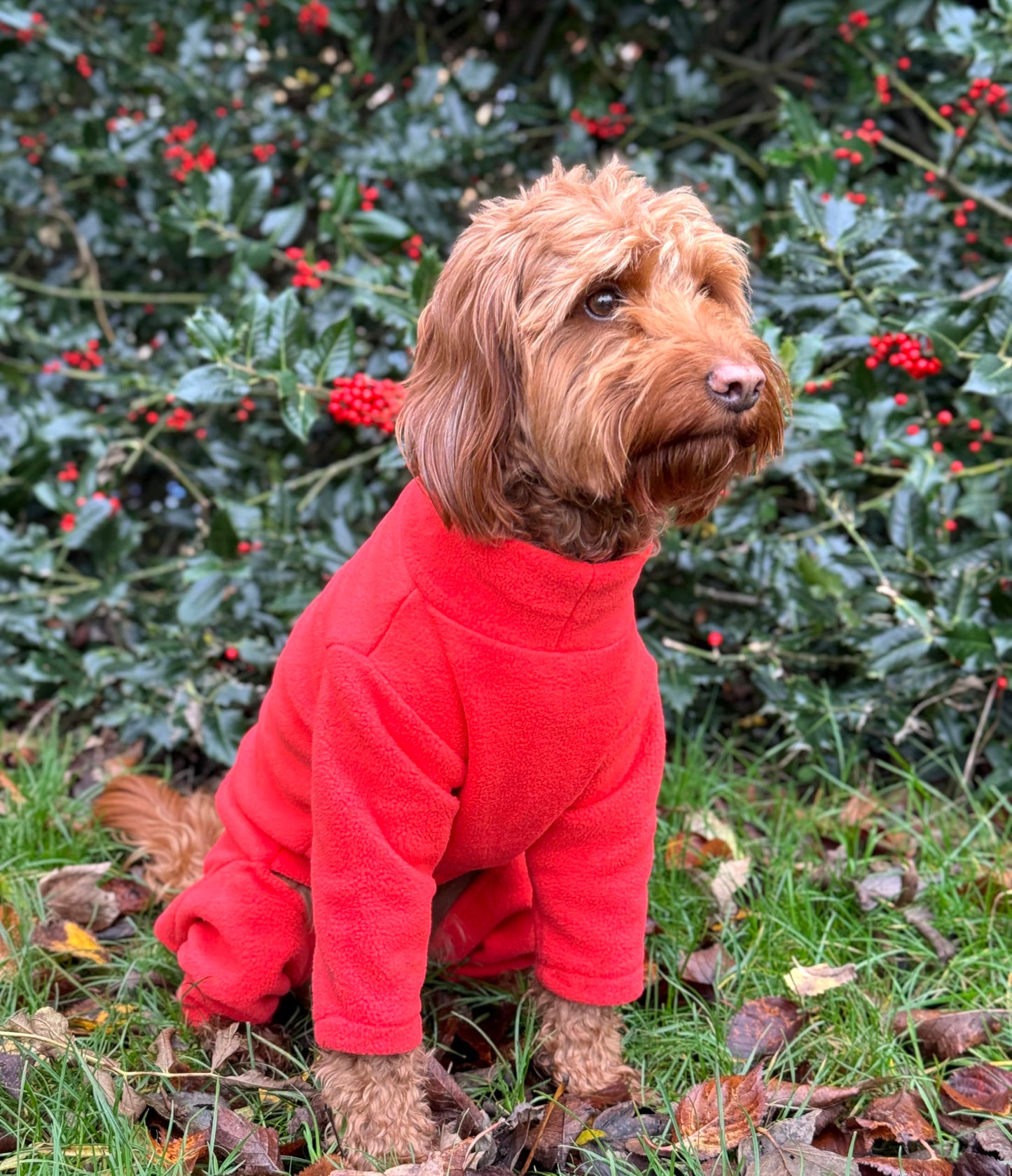 Warm Four-Legged Dog Fleece – Super Soft, Weather-Resistant, Available in a Range of Sizes and Colours