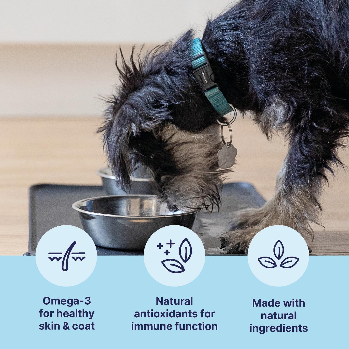 Tails.com Inner Vitality - Wet Dog Food Tin Adult Chicken 6 x 400g - 1-7 yrs - Source of antioxidants from parsley & blueberry extract