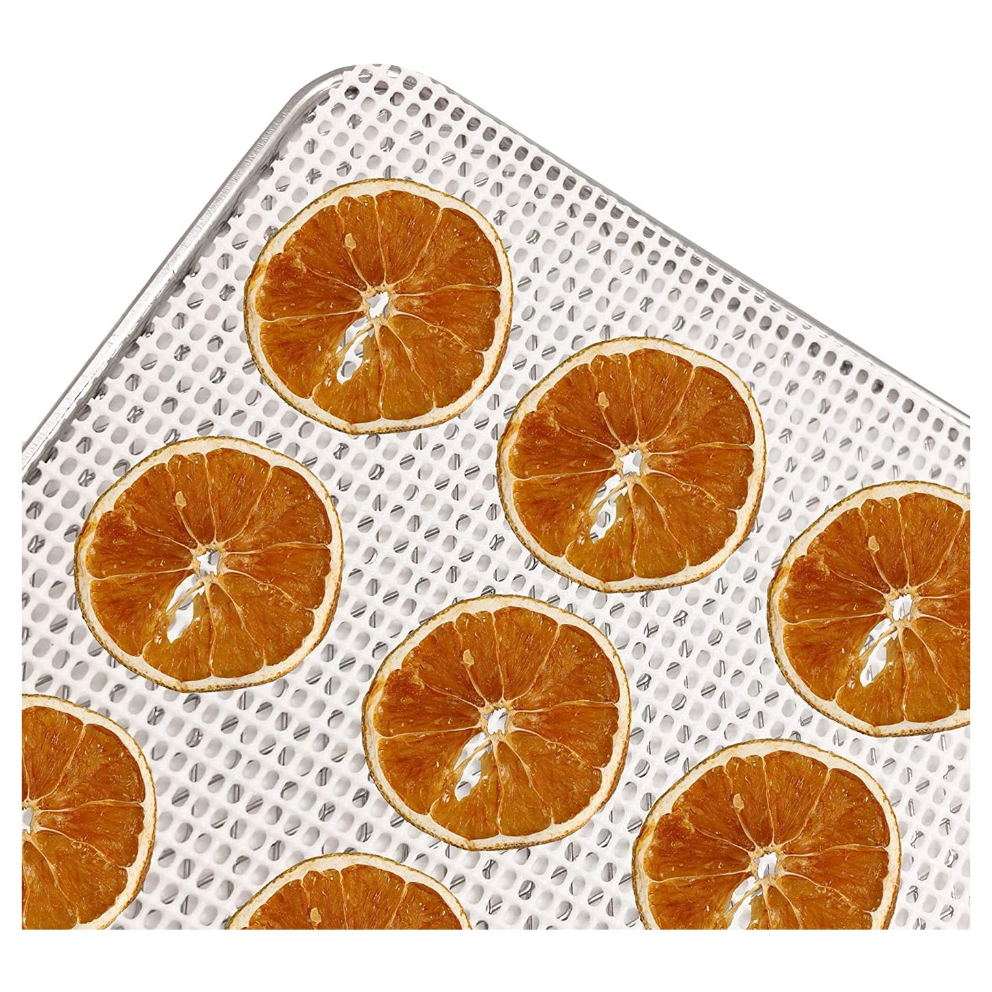 Nebula 450W Round 5 Tray Food Dehydrator | Adjustable Height, 35-70°C Temperature Control, 1-48 Hour Timer, Mesh Trays | Compact & Efficient Drying for Fruits, Vegetables, Meat, Herbs & Snacks
