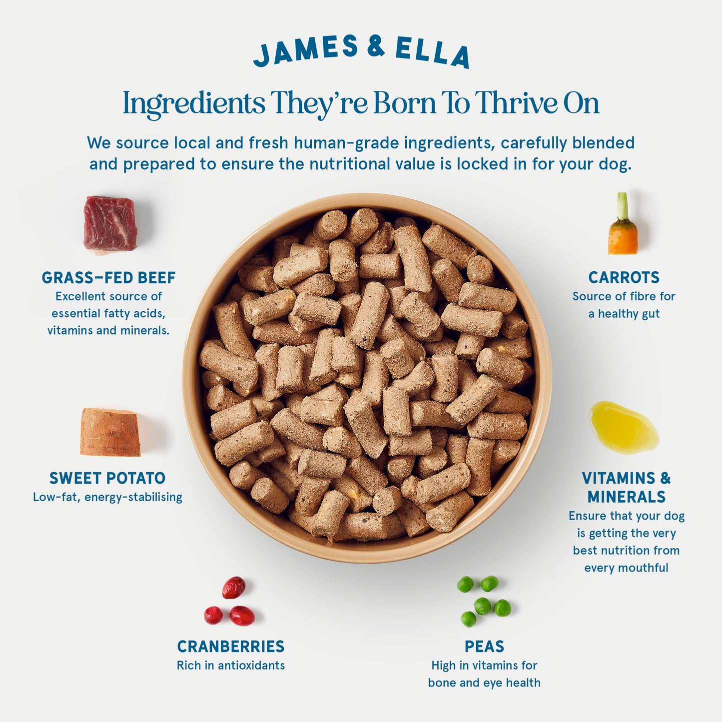 James & Ella Complete Freeze-Dried Raw Dog Food ❘ Free Run Chicken ❘ Freeze-Dried Dog Food, Packed with Protein, Essential Oils & Minerals for Happy, Healthy Dogs, Lightweight & Gluten Free (500g)