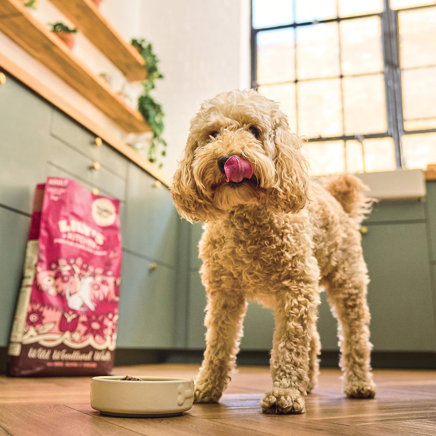 Lily’s Kitchen Made with Natural Ingredients Adult Dry Dog Food Balanced Recipe