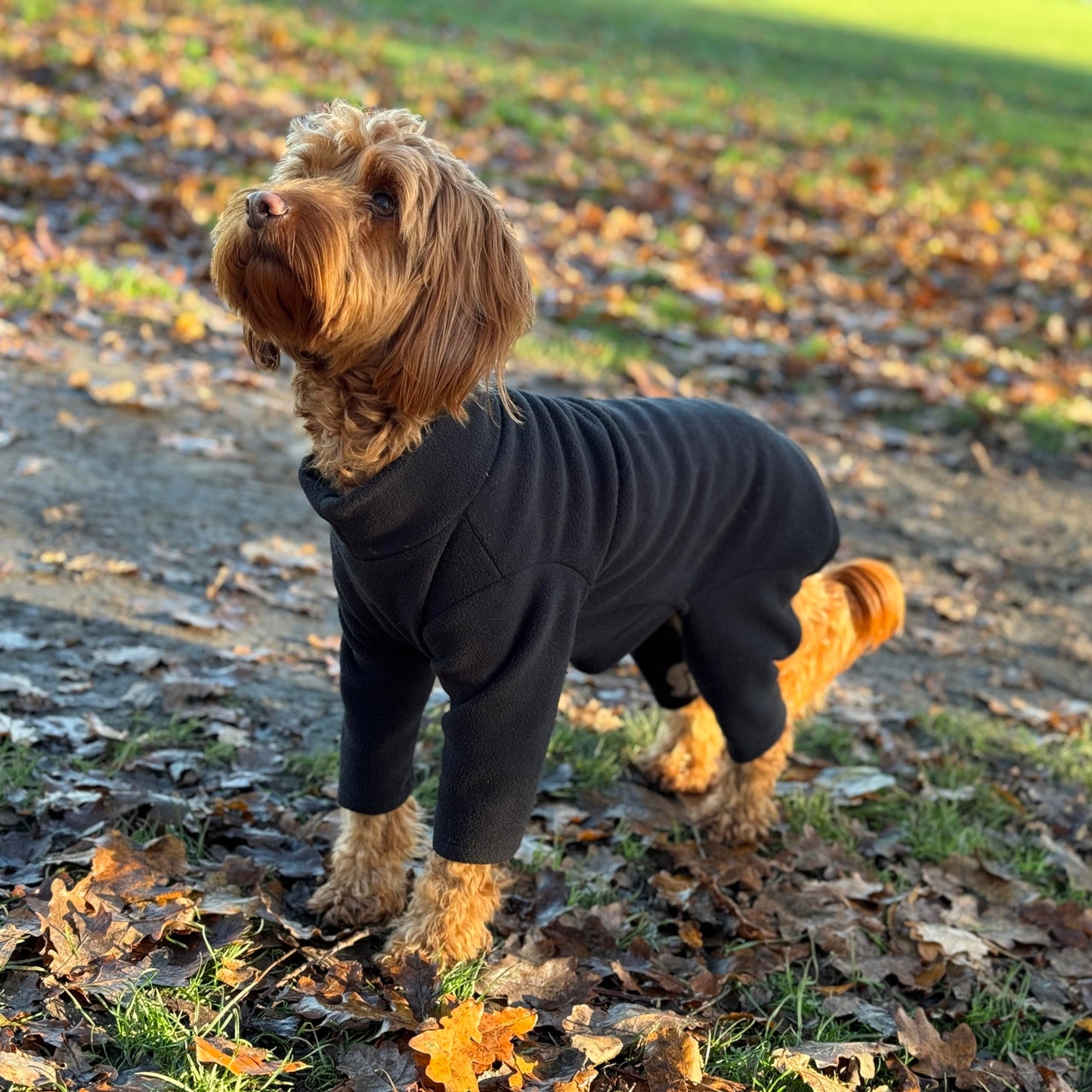 Warm Four-Legged Dog Fleece – Super Soft, Weather-Resistant, Available in a Range of Sizes and Colours