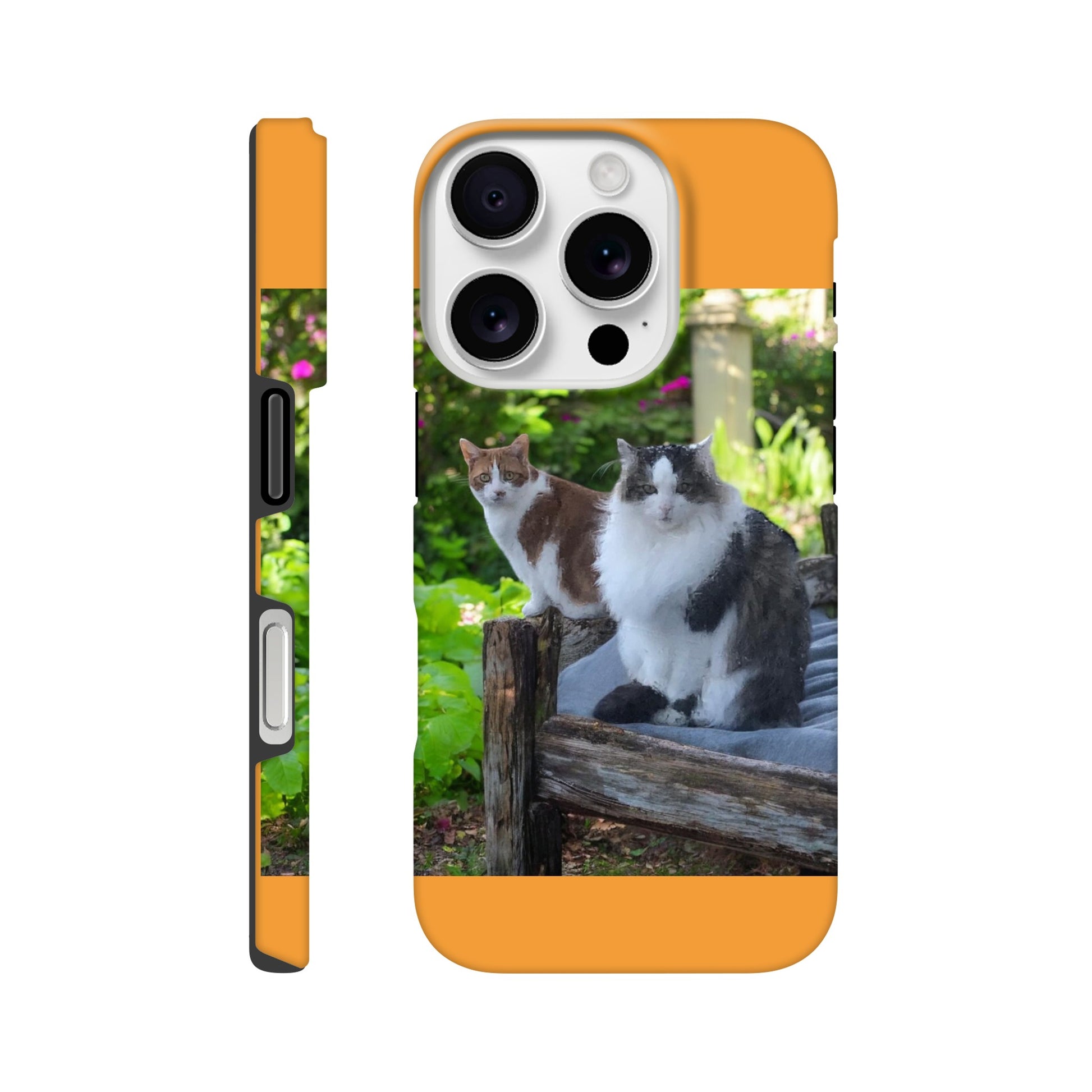 91b1b9ab-4c8b-45ba-b487-ce615bd1b21a