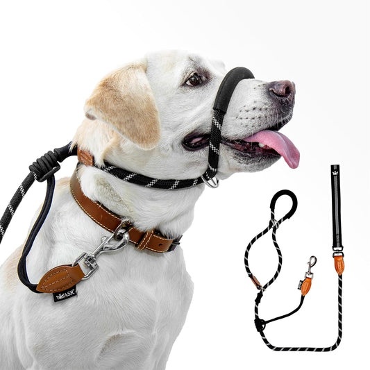 Figure of 8 Slip Lead for Dogs, Dual-Use No-Pull Training Leash with Stopper, Neoprene Nose Padding, Reflective Safety Strip and Robust Static 14-Core Nylon Rope