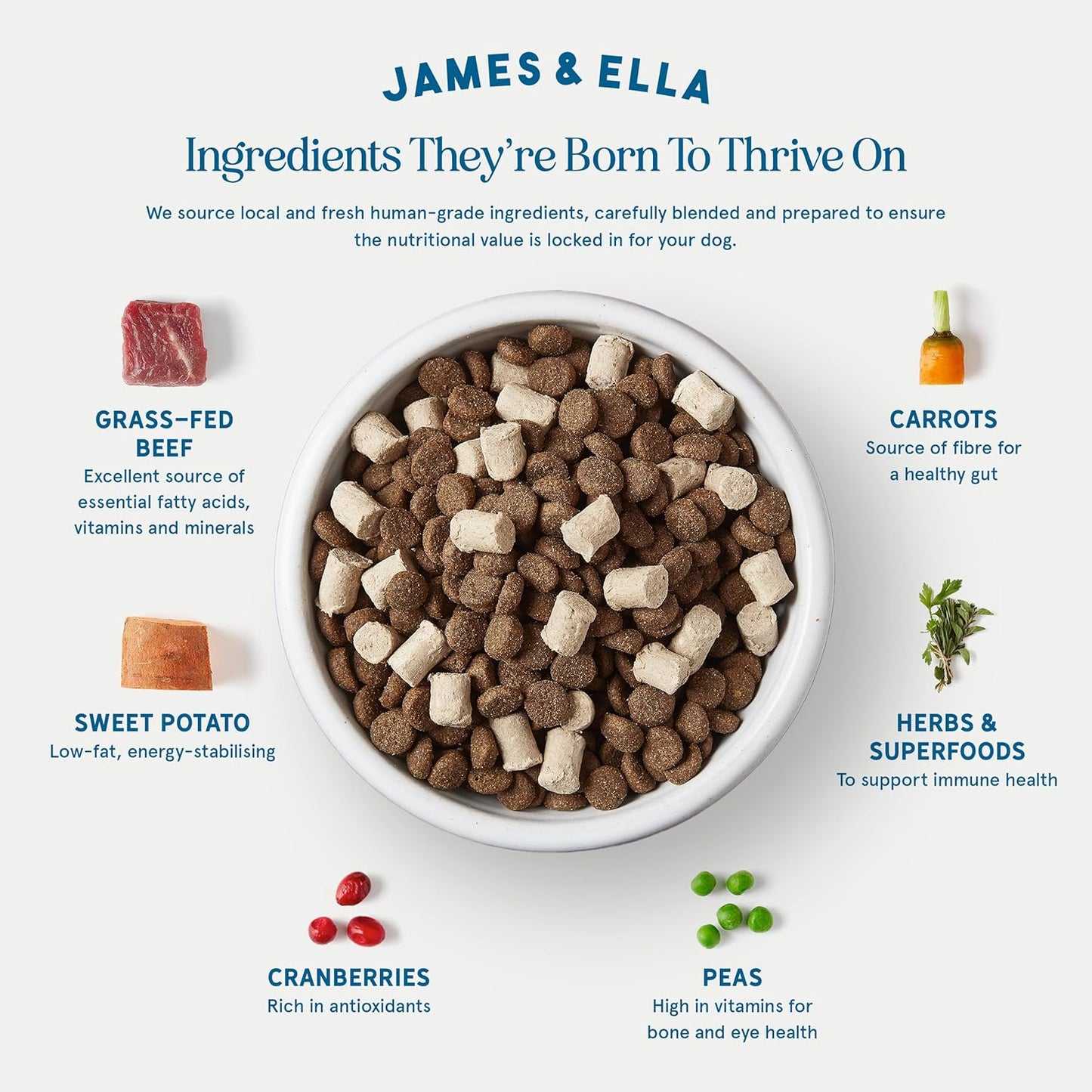 James & Ella Kibble + Raw Dog Food - Grass Fed Beef (1.5kg) ❘ Nutritious High Protein Kibble Combined with Freeze-Dried Raw Meat Nuggets, Contains Essential Oils & Minerals, Grain & Gluten Free
