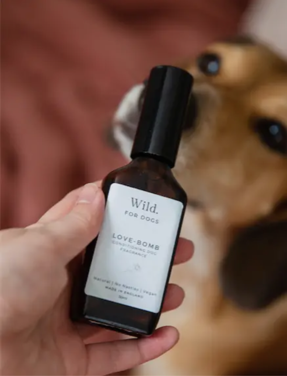 Love Bomb Dog Fragrance