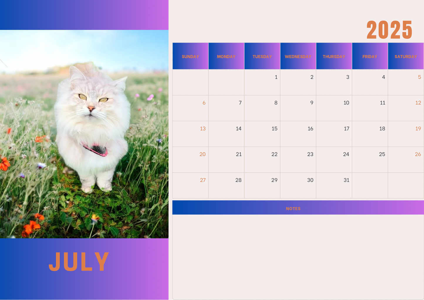 Cats 2 calendar 2025 A4 landscape