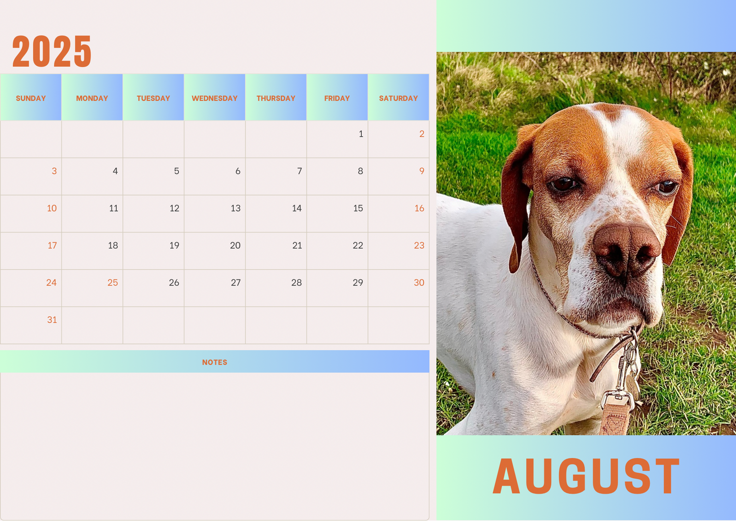 Dogs calendars 2025 A4 landscape