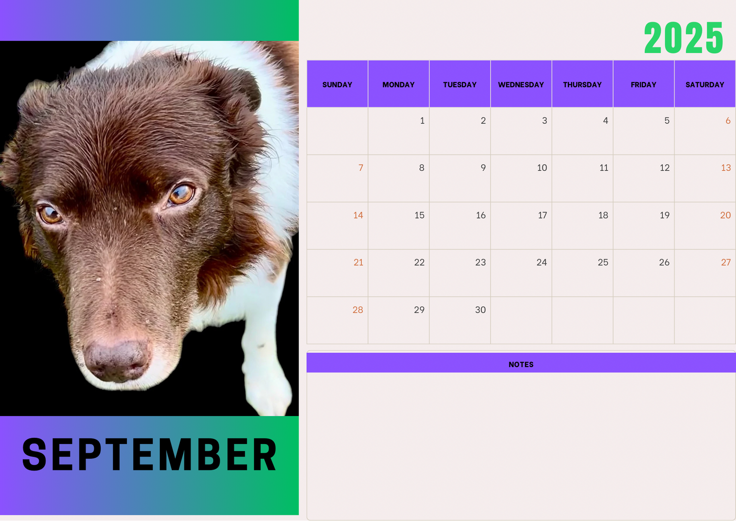 Dogs 2 calendar 2025 A4 landscape