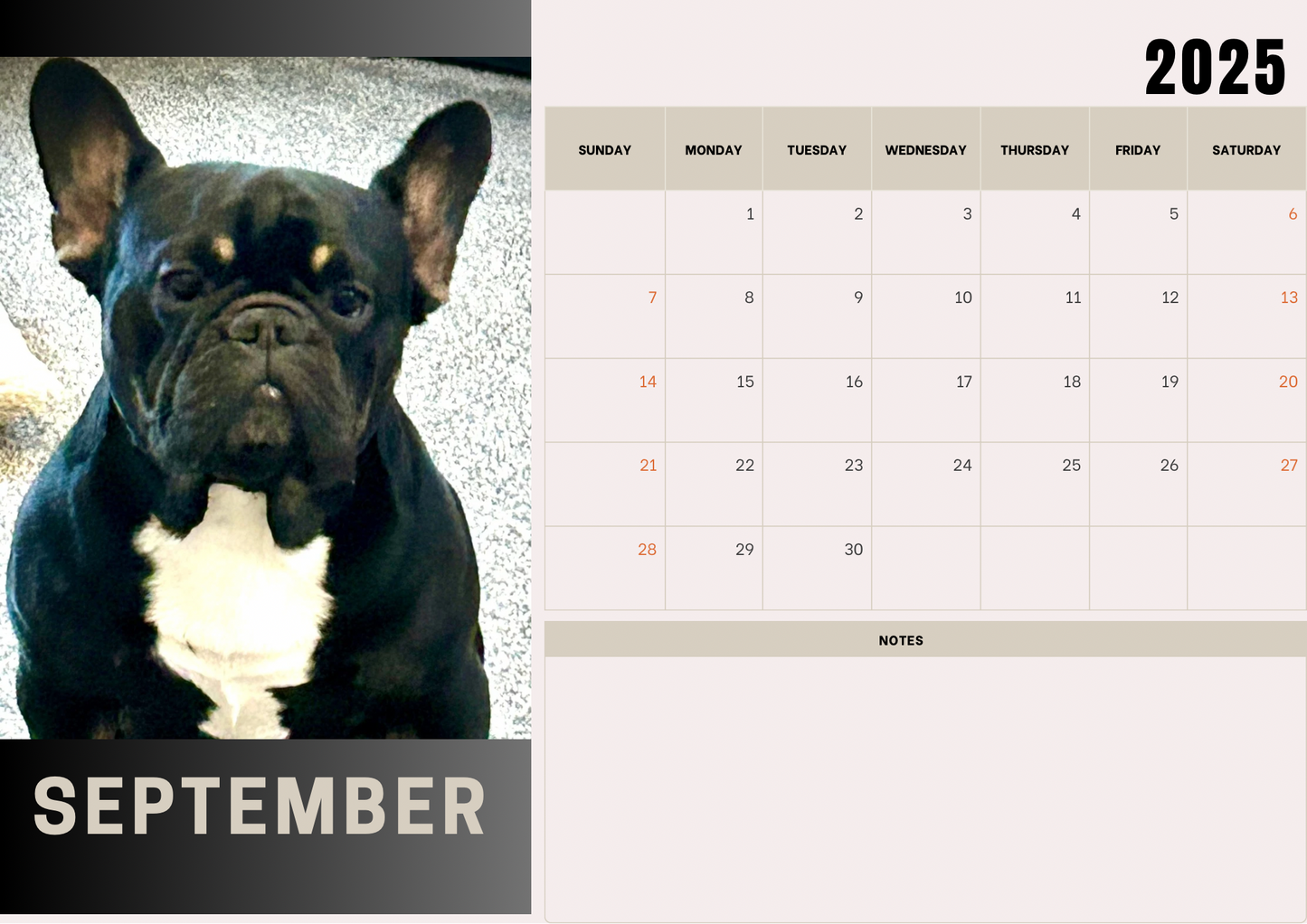 Dogs calendars 2025 A4 landscape