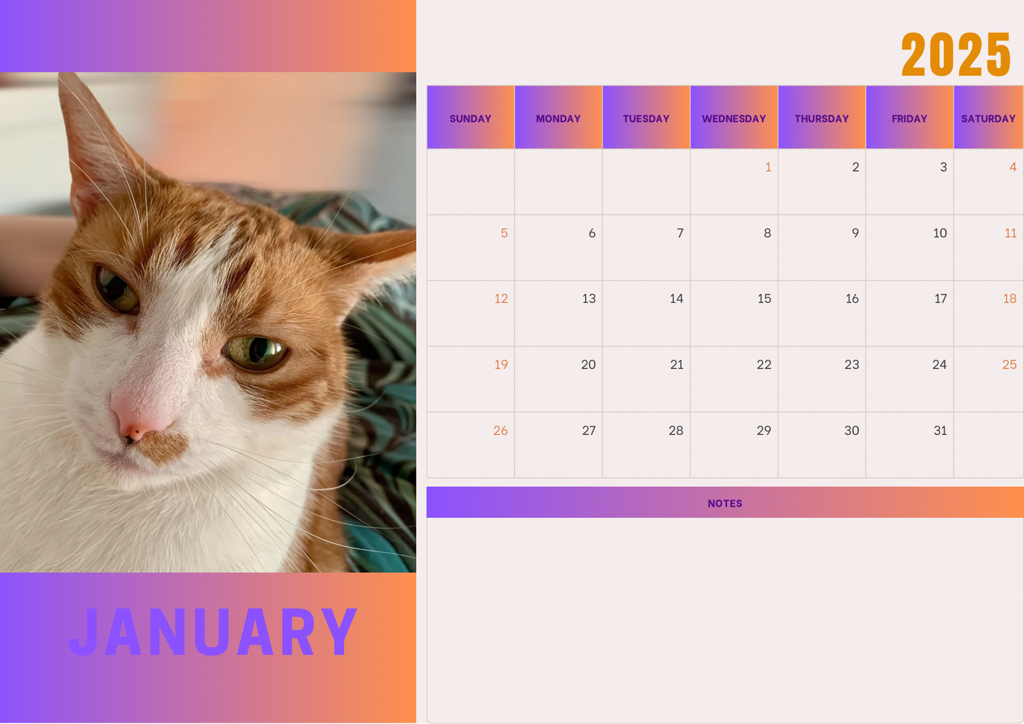 Cats calendars 2025 A4 landscape