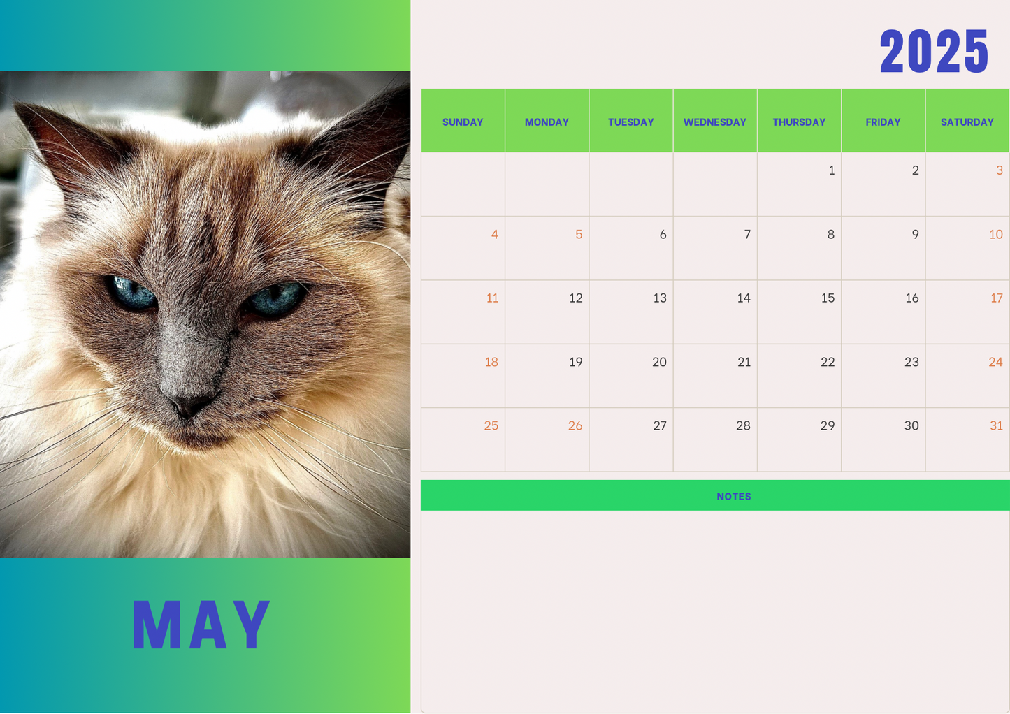 Cats 2 calendar 2025 A4 landscape