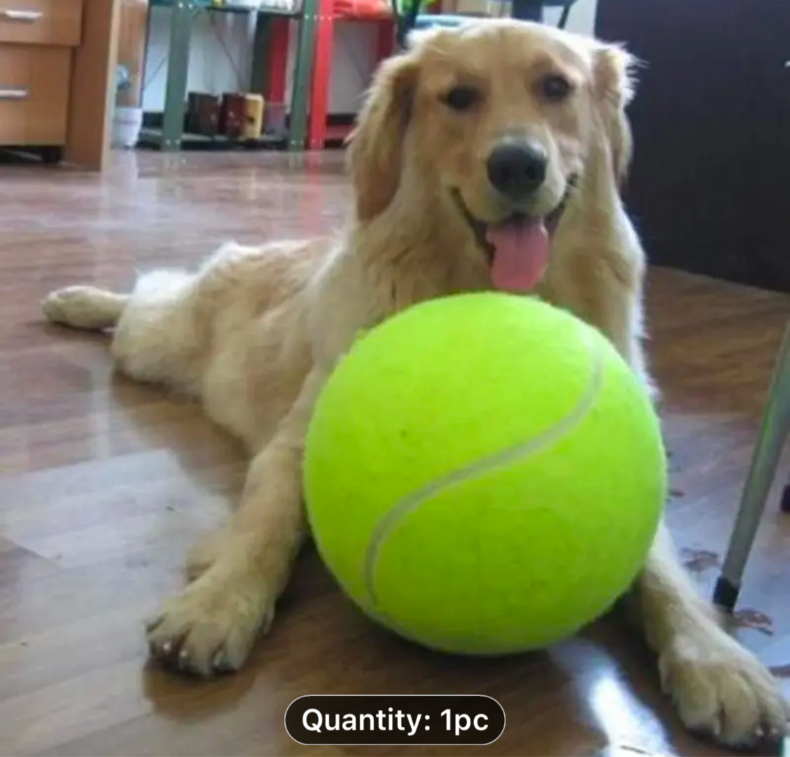 Inflatable Pet Tennis Ball Extra Large