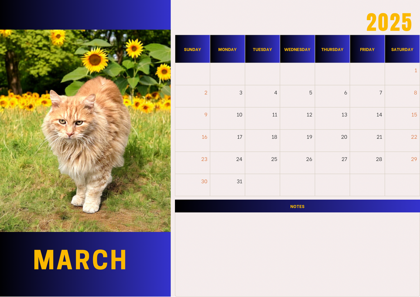 Cats calendars 2025 A4 landscape