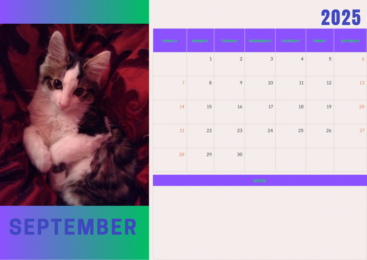 Cats calendars 2025 A4 landscape