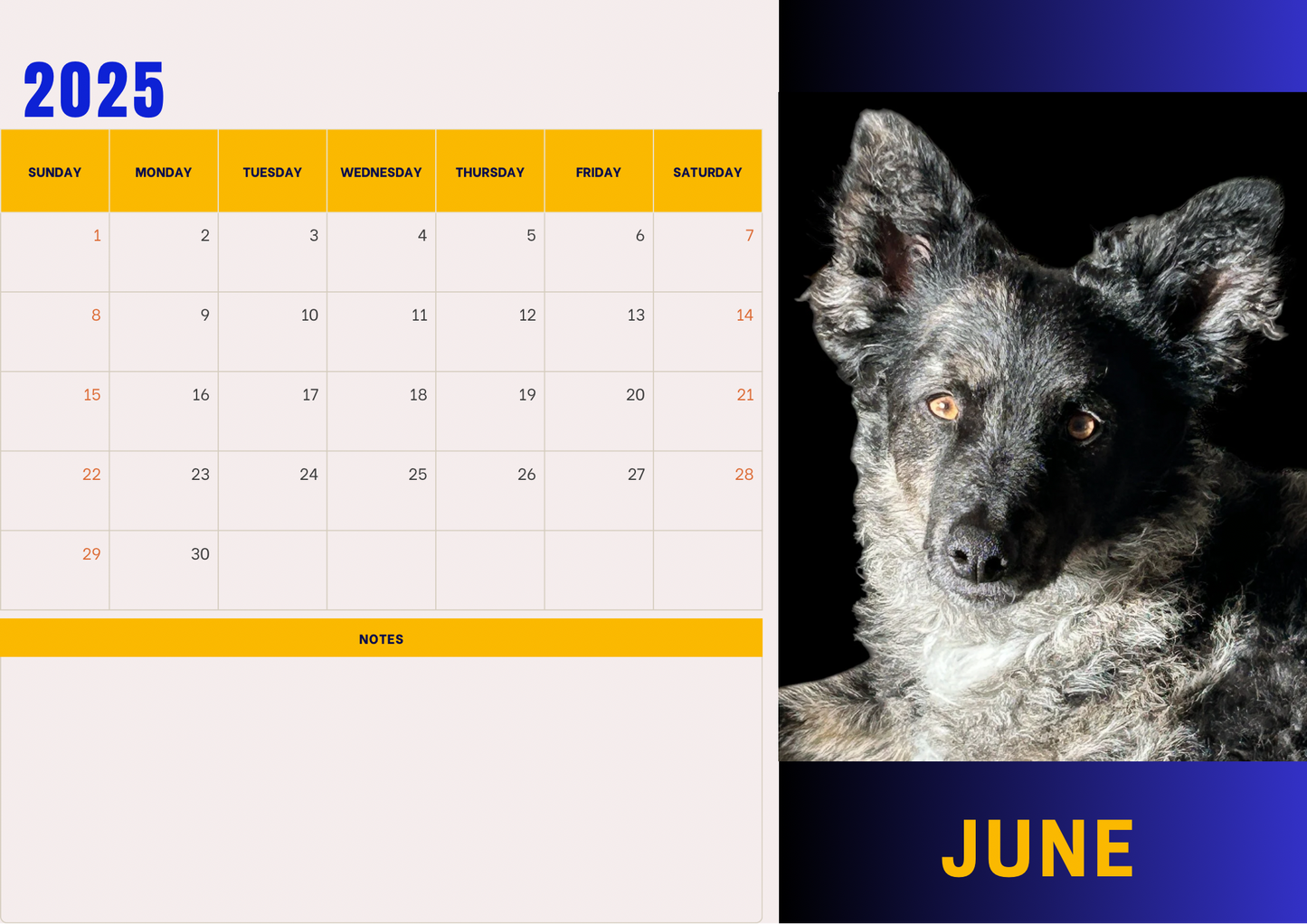 Dogs calendars 2025 A4 landscape