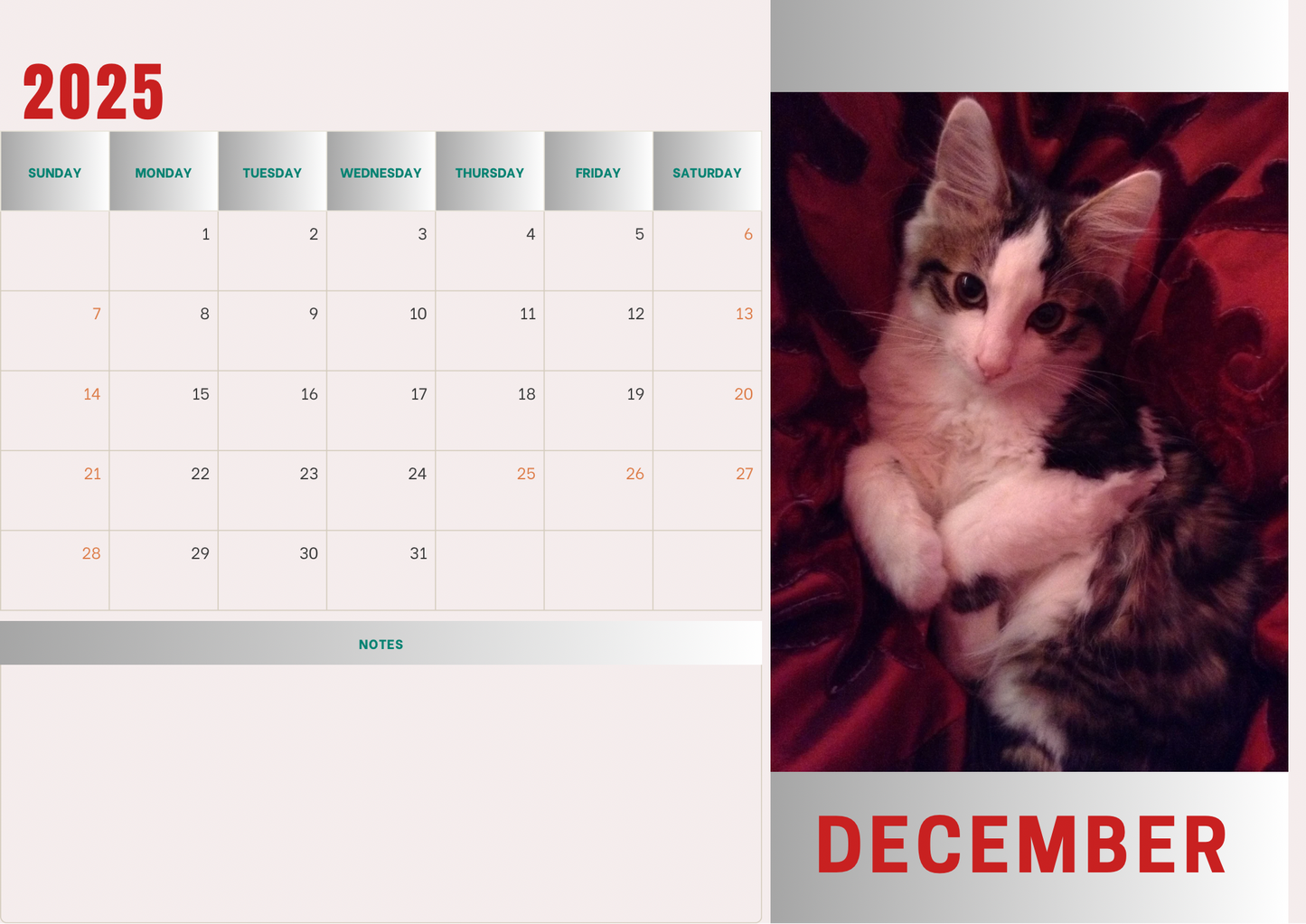 Cats 2 calendar 2025 A4 landscape