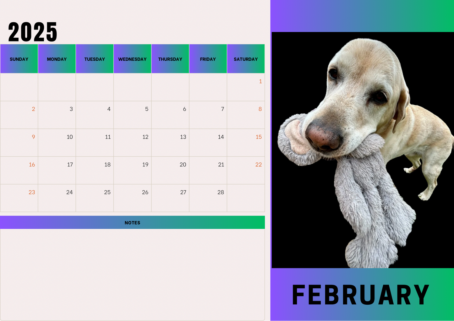 Dogs calendars 2025 A4 landscape