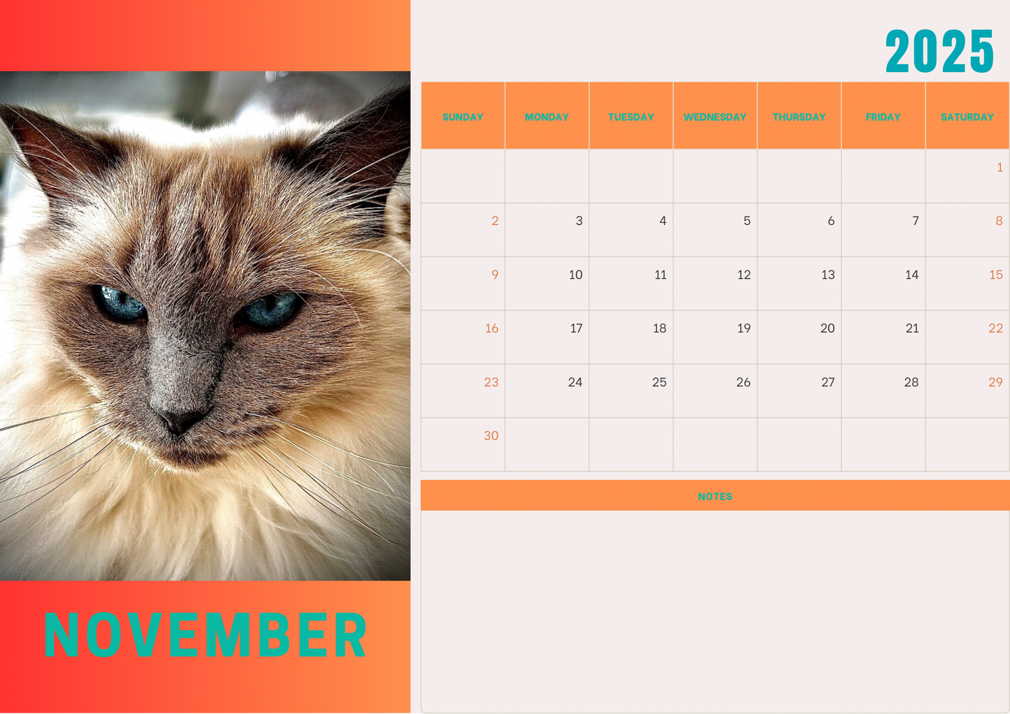 Cats calendars 2025 A4 landscape