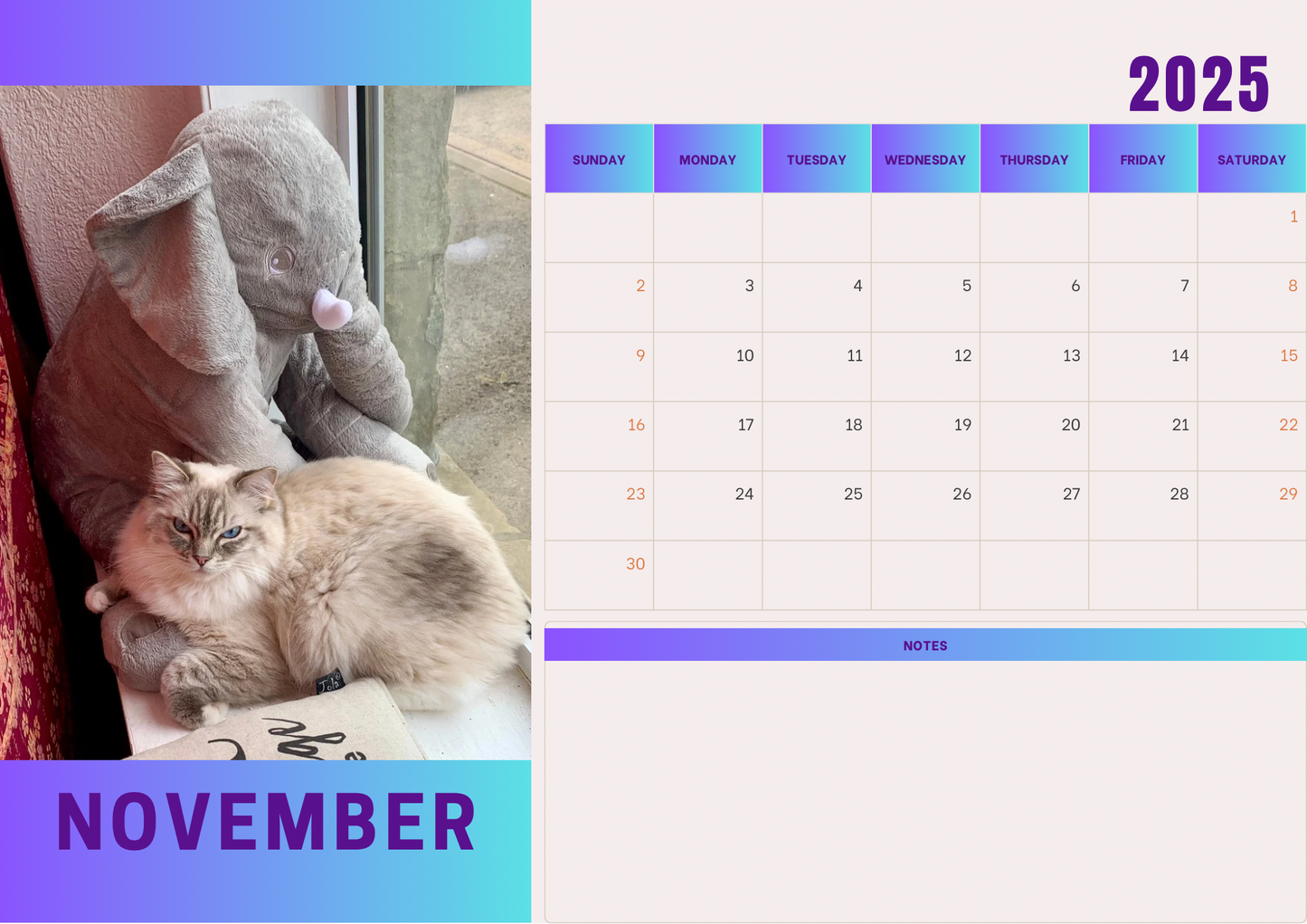 Cats 2 calendar 2025 A4 landscape