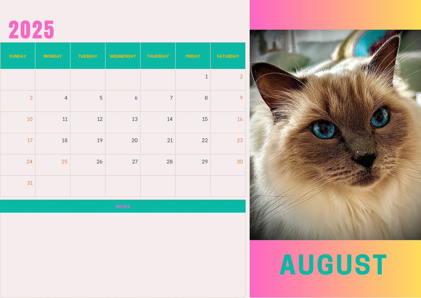 Cats 2 calendar 2025 A4 landscape