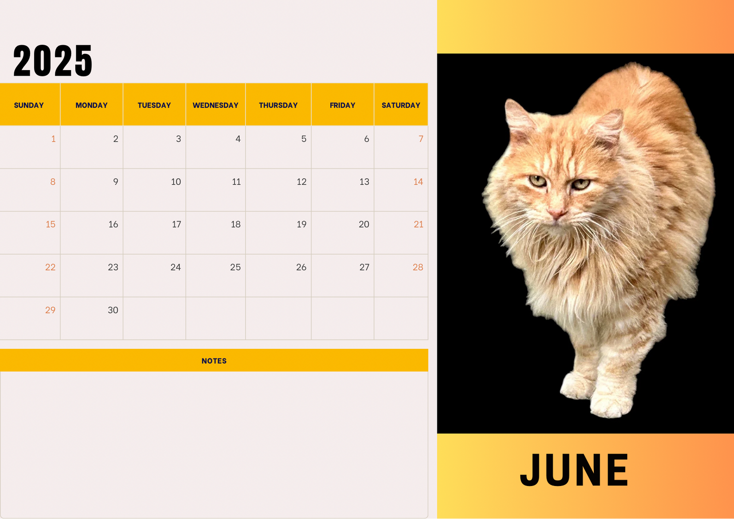 Cats 2 calendar 2025 A4 landscape