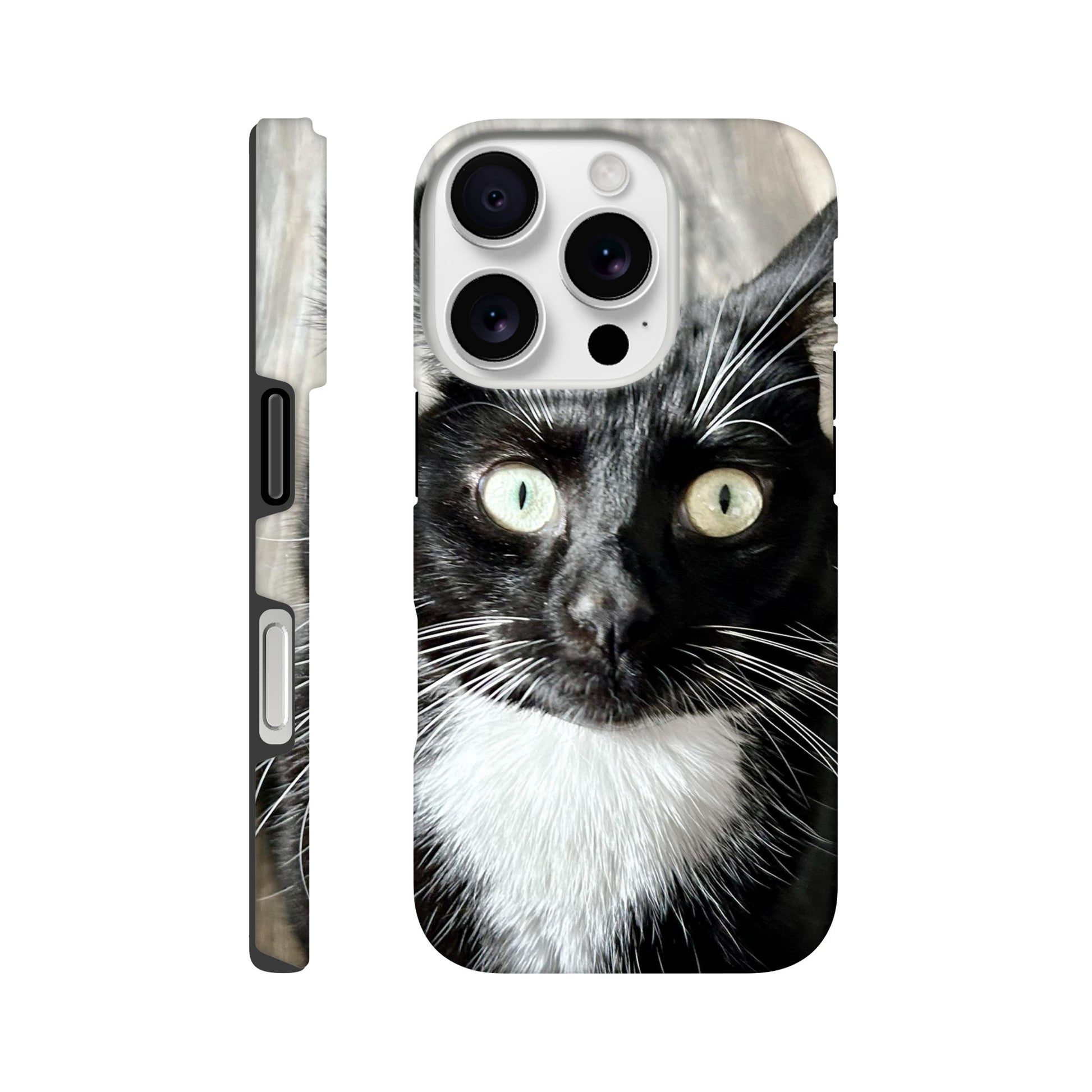 cc05037d-f87a-42ab-be8c-b7ee064d86df