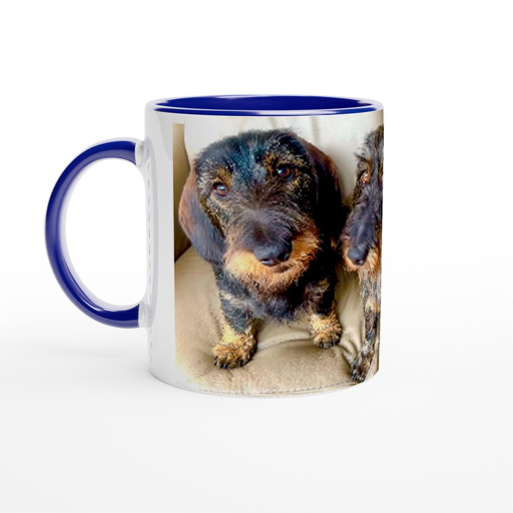 d87c96a6-8c43-4e91-9603-c271c18e4d92