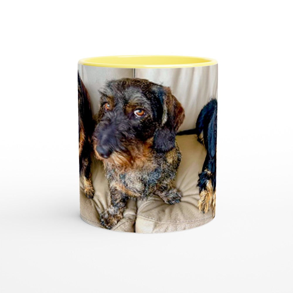 f1d52523-7042-4e09-9f1b-5c57d5b13764