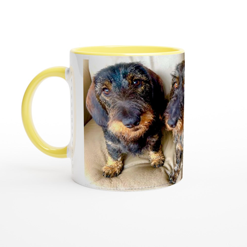 fcff484f-f6a4-4aad-9f9a-eeed2fe7daab